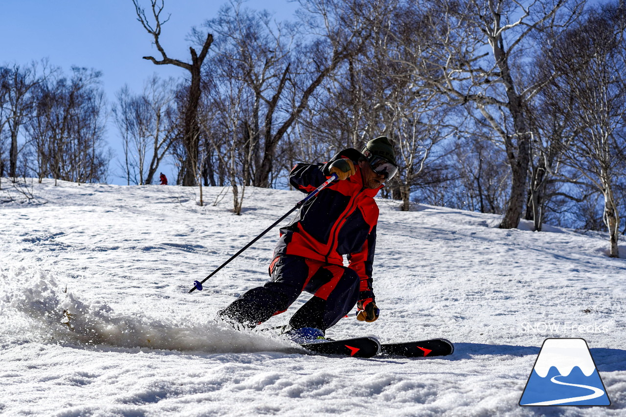 ニセコグラン・ヒラフ DYNASTAR SKI TEST RIDE DAYS Photo Session!!最高の天気に恵まれたニセコに、最高の仲間たちが集まりました☆